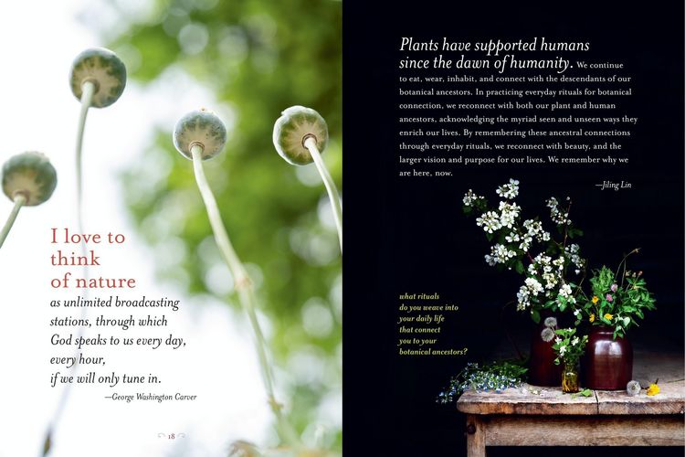 Produktbild: The Generosity of Plants