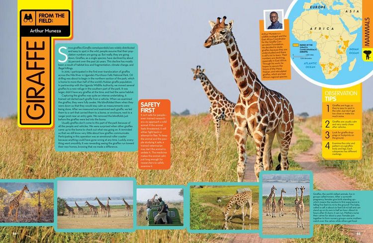 Produktbild: Animal Encyclo_national Ie Hb