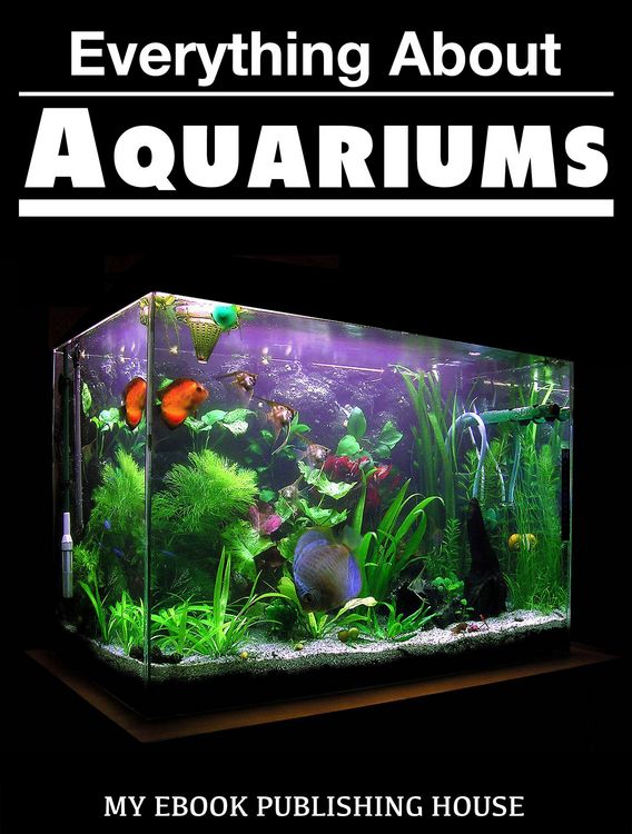 Produktbild: Everything About Aquariums