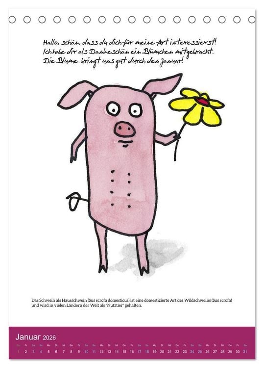 Produktbild: Schweinekalender - Alles was du &uuml;ber Schweine wissen wolltest! (Tischkalender 2026 DIN A5 hoch), CALVENDO Monatskalender