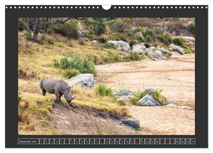 Produktbild: Das Wei&szlig;e Nashorn (Wandkalender 2026 DIN A3 quer), CALVENDO Monatskalender