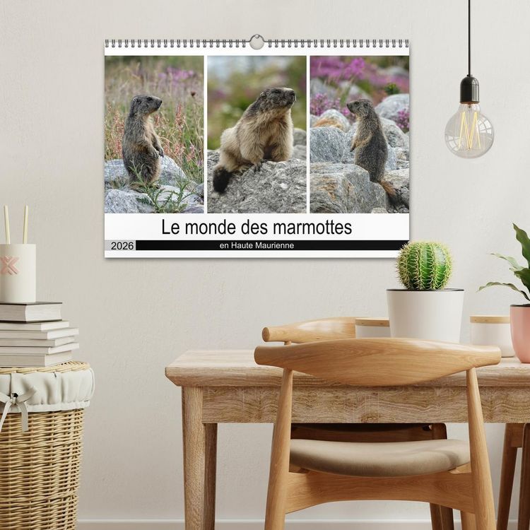 Produktbild: Le monde des marmottes en Haute Maurienne (Calendrier mural 2026 DIN A3 vertical), CALVENDO calendrier mensuel