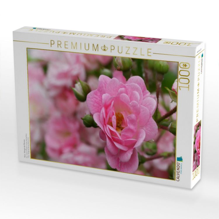 Produktbild: CALVENDO Puzzle Rose - K&ouml;nigin der Blumen | 1000 Teile Lege-Gr&ouml;&szlig;e 64x48cm Foto-Puzzle f&uuml;r gl&uuml;ckliche Stunden