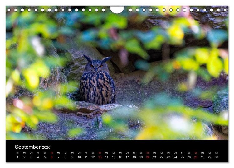 Produktbild: Herbst im Nationalpark Bayerischer Wald (Wandkalender 2026 DIN A4 quer), CALVENDO Monatskalender