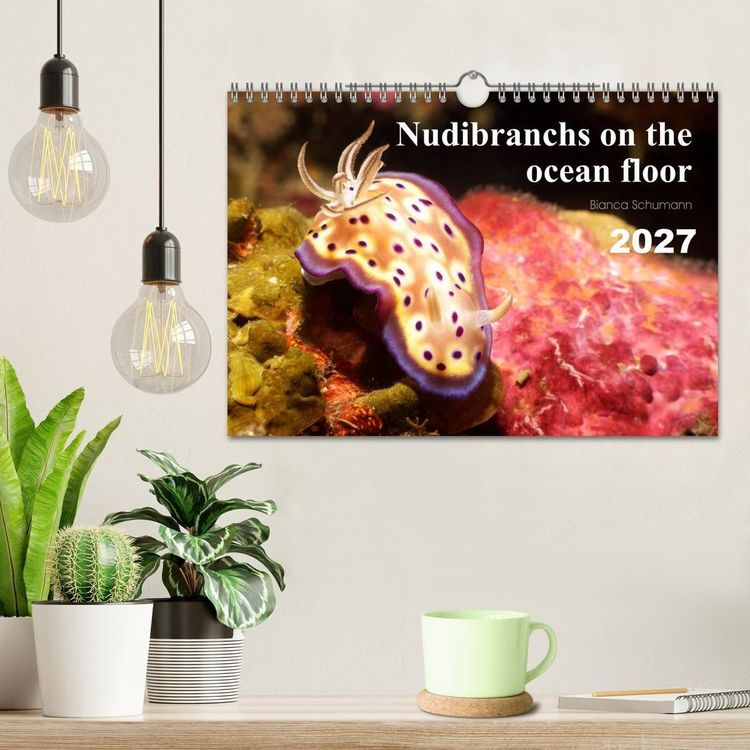 Produktbild: Nudibranchs on the ocean floor (Wall Calendar 2027 DIN A4 landscape), CALVENDO 12 Month Wall Calendar
