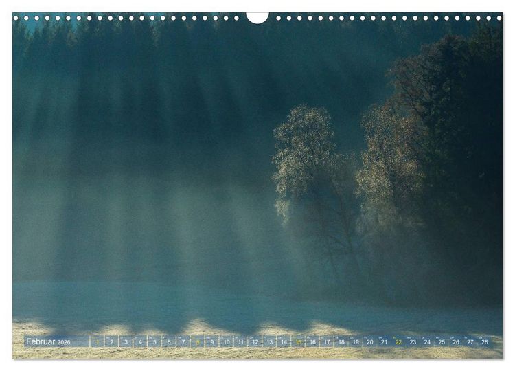 Produktbild: Spaziergang im Wald (Wandkalender 2026 DIN A3 quer), CALVENDO Monatskalender