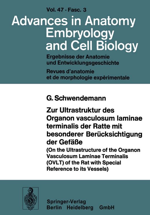 Produktbild: Zur Ultrastruktur des Organon vasculosum laminae terminalis der Ratte mit besonderer Ber&uuml;cksichtigung der Gef&auml;&szlig;e
