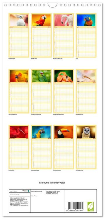 Produktbild: Familienplaner 2026 - Die bunte Welt der V&ouml;gel mit 5 Spalten (Wandkalender, 21 x 45 cm) CALVENDO