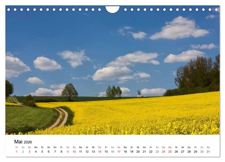 Produktbild: Rapsodie (Wandkalender 2026 DIN A4 quer), CALVENDO Monatskalender