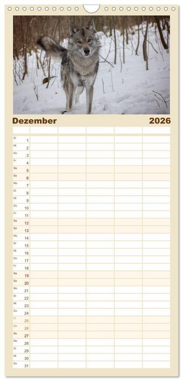 Produktbild: Familienplaner 2026 - Wolfshunde 2026 mit 5 Spalten (Wandkalender, 21 x 45 cm) CALVENDO
