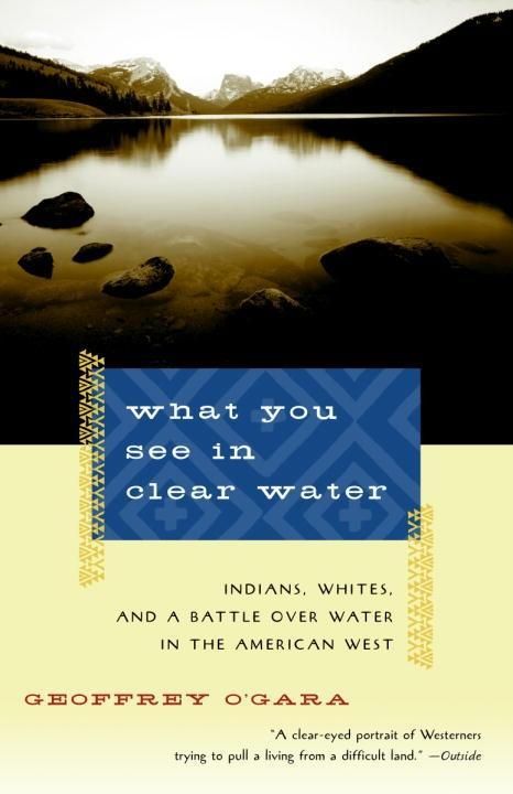 Produktbild: What You See in Clear Water