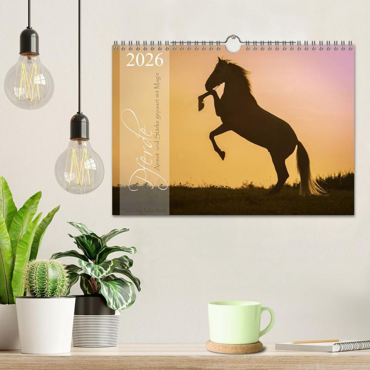 Produktbild: Pferde - Anmut und St&auml;rke gepaart mit Magie (Wandkalender 2026 DIN A4 quer), CALVENDO Monatskalender