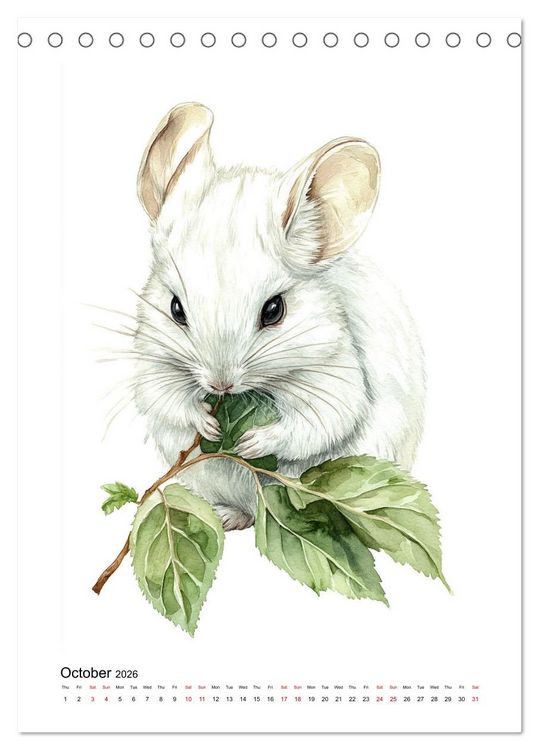 Produktbild: Chinchilla Parade (Desk Calendar 2026 DIN A5 portrait), CALVENDO 12 Month DeskCalendar