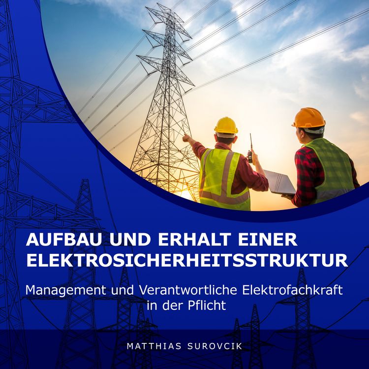 Produktbild: Aufbau und Erhalt einer Elektrosicherheitsstruktur