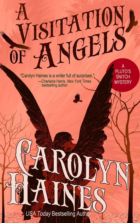 Produktbild: A Visitation of Angels (Pluto's Snitch, #4)