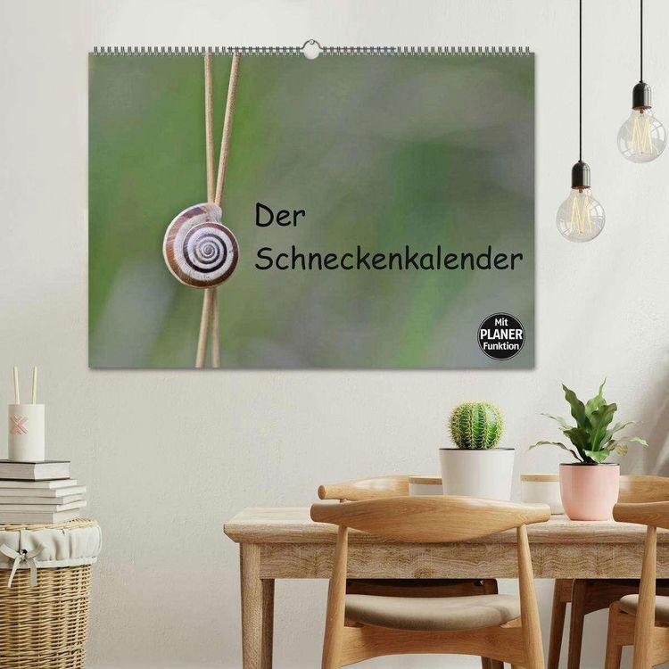 Produktbild: Der Schneckenkalender (Wandkalender 2026 DIN A2 quer), CALVENDO Monatskalender
