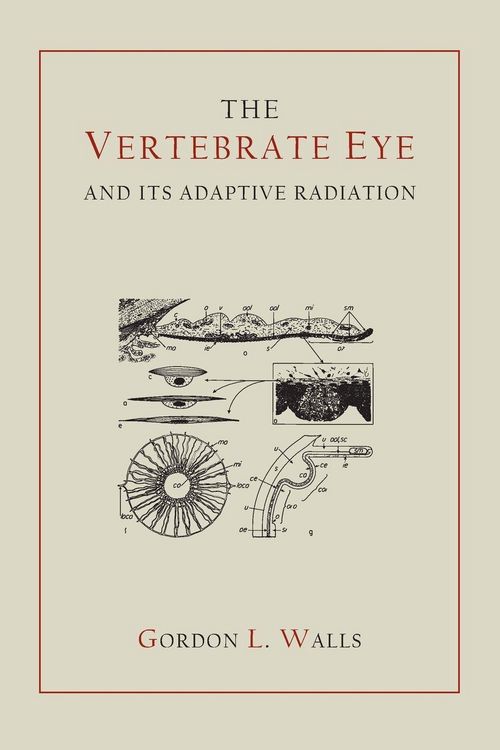 Produktbild: The Vertebrate Eye and Its Adaptive Radiation