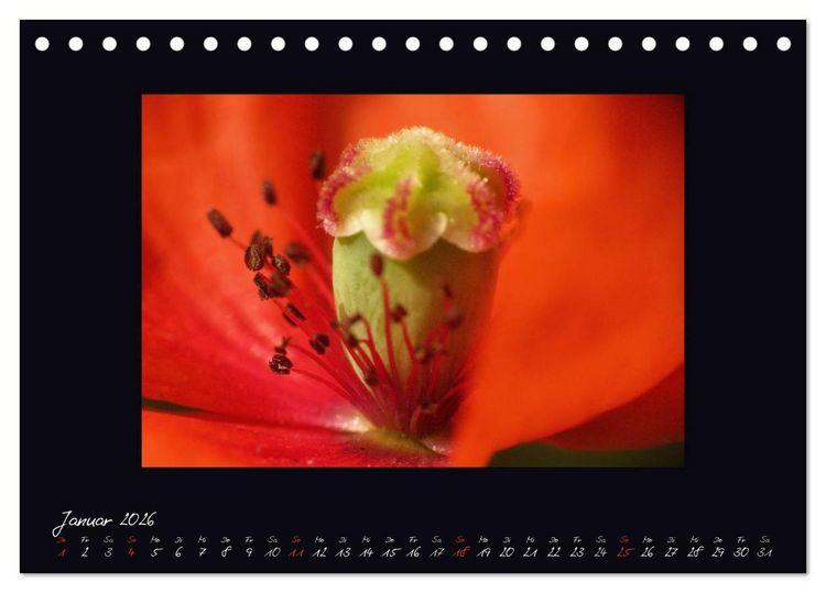 Produktbild: MOHNographie (Tischkalender 2026 DIN A5 quer), CALVENDO Monatskalender
