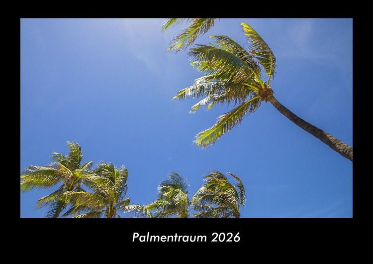 Produktbild: Palmentraum 2026 Fotokalender DIN A3