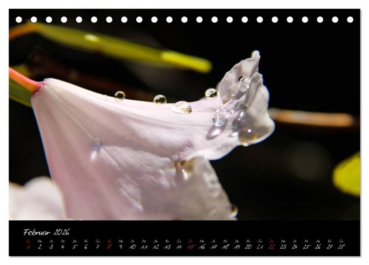 Produktbild: Butchart Gardens 2026 (Tischkalender 2026 DIN A5 quer), CALVENDO Monatskalender