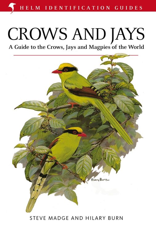 Produktbild: Crows and Jays