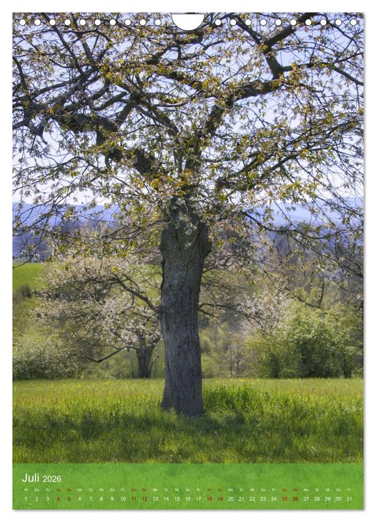Produktbild: Klimaretter Baum (Wandkalender 2026 DIN A4 hoch), CALVENDO Monatskalender