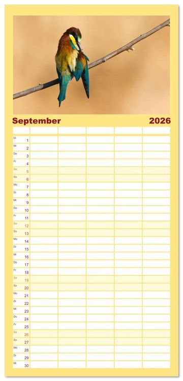 Produktbild: Familienplaner 2026 - Bunte Flieger mit 5 Spalten (Wandkalender, 21 x 45 cm) CALVENDO
