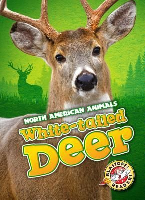 Produktbild: White-Tailed Deer
