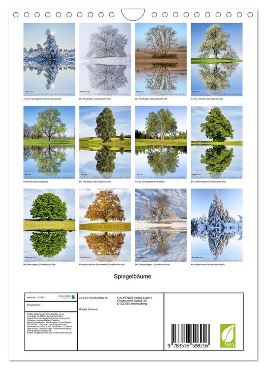 Produktbild: Spiegelb&auml;ume (Wandkalender 2026 DIN A4 hoch), CALVENDO Monatskalender
