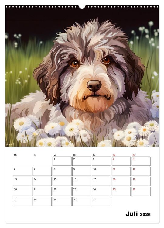 Produktbild: Aussiedoodle - Hunde zum Liebhaben (hochwertiger Premium Wandkalender 2026 DIN A2 hoch), Kunstdruck in Hochglanz