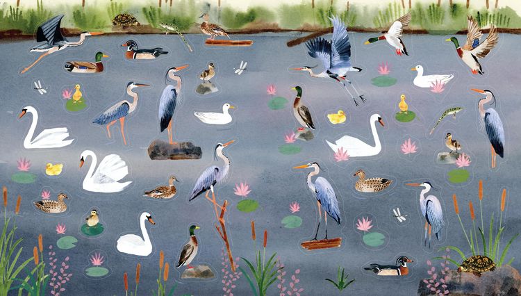Produktbild: A Bird Lover's Sticker Book