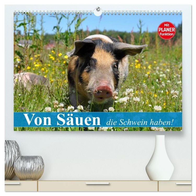 Produktbild: Von S&auml;uen die Schwein haben! (hochwertiger Premium Wandkalender 2026 DIN A2 quer), Kunstdruck in Hochglanz
