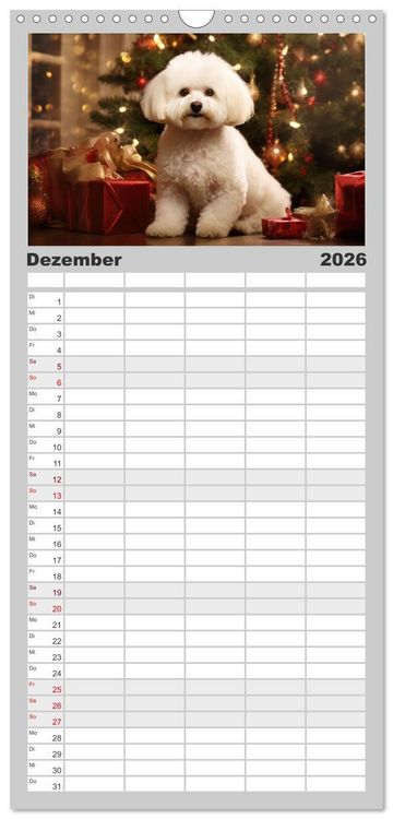 Produktbild: Familienplaner 2026 - Bichon fris&eacute;, wei&szlig;e H&uuml;ndchen mit lockigem Haar mit 5 Spalten (Wandkalender, 21 x 45 cm) CALVENDO