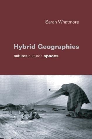 Produktbild: Hybrid Geographies