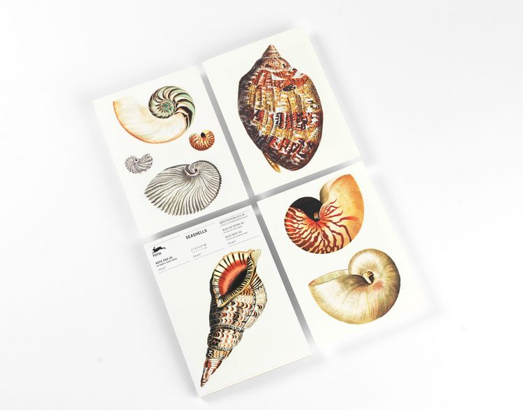 Produktbild: Seashells
