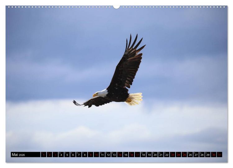 Produktbild: Auf den Spuren der Indianer - Unterwegs in Nordamerika (Wandkalender 2026 DIN A2 quer), CALVENDO Monatskalender