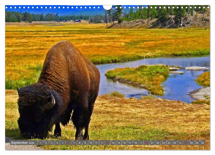 Produktbild: Wyoming &bull; Impressionen (Wandkalender 2026 DIN A3 quer), CALVENDO Monatskalender