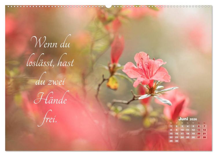 Produktbild: Chinesische Weisheiten (Wandkalender 2026 DIN A2 quer), CALVENDO Monatskalender