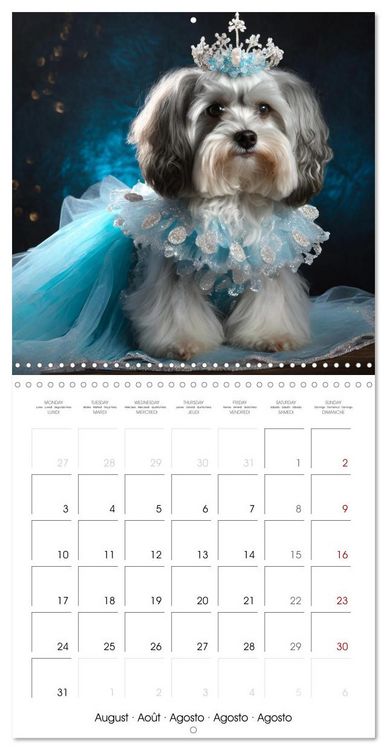 Produktbild: Grand Divas of the Dog World (Wall Calendar 2026 12 &times; 12 Inch) CALVENDO 12 Month Wall Calendar
