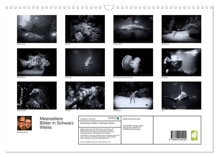 Produktbild: Meerestiere Bilder in Schwarz Weiss (Wandkalender 2026 DIN A3 quer), CALVENDO Monatskalender