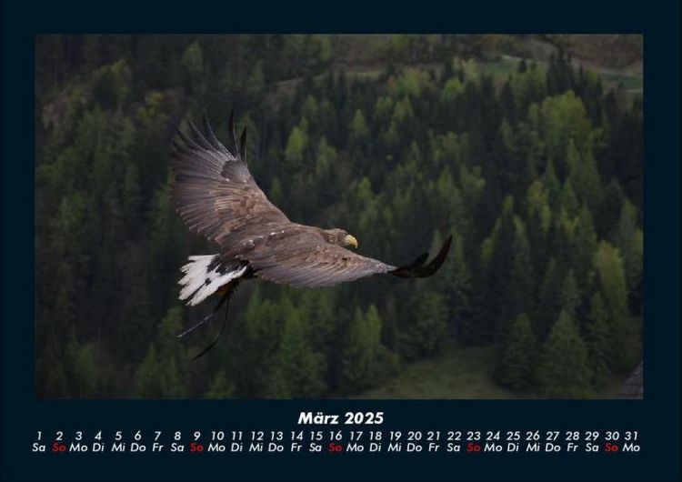 Produktbild: Adler 2025 Fotokalender DIN A4