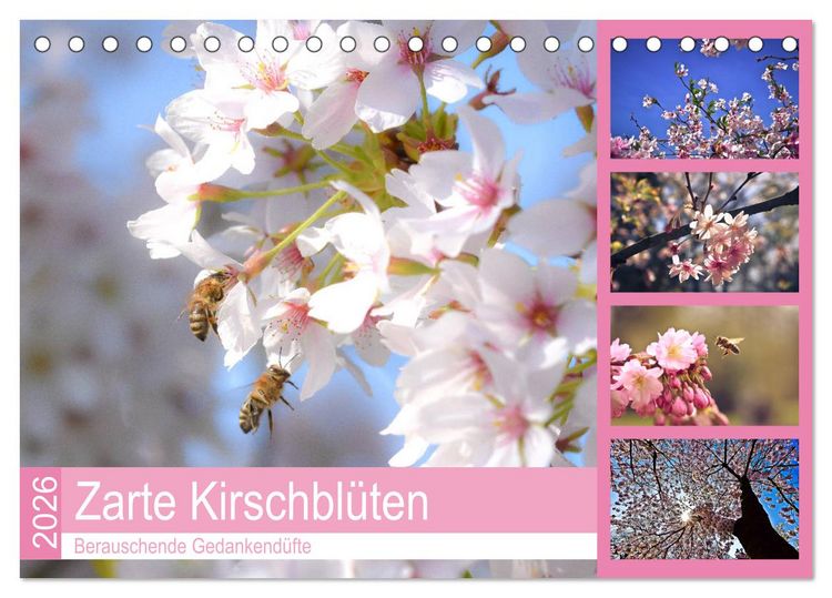 Produktbild: Zarte Kirschbl&uuml;ten - Berauschende Gedankend&uuml;fte (Tischkalender 2026 DIN A5 quer), CALVENDO Monatskalender