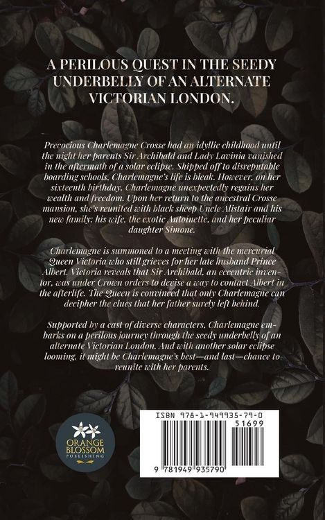 Produktbild: The Curious Conundrum of Charlemagne Crosse