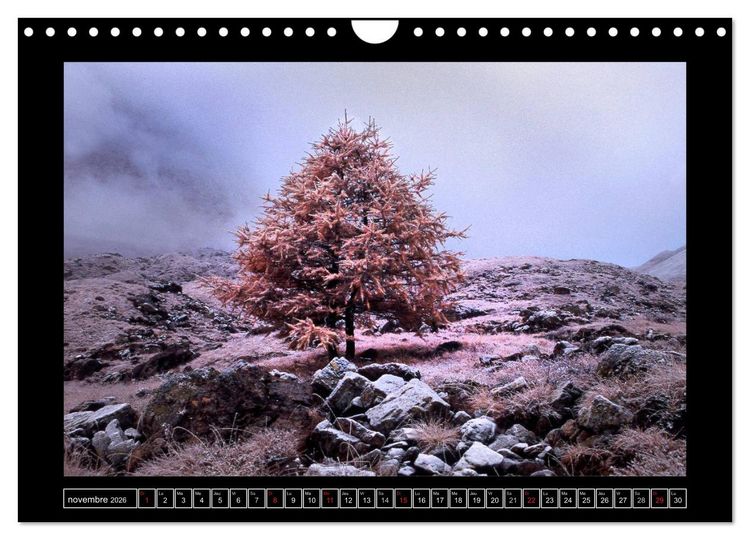 Produktbild: Photographies de Montagne (Calendrier mural 2026 DIN A4 vertical), CALVENDO calendrier mensuel