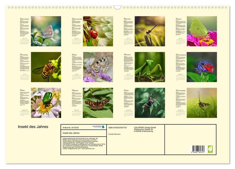 Produktbild: Insekt des Jahres (Wandkalender 2026 DIN A2 quer), CALVENDO Monatskalender