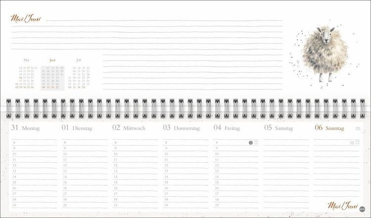 Produktbild: Hannah Dale : Wochenquerplaner 2027