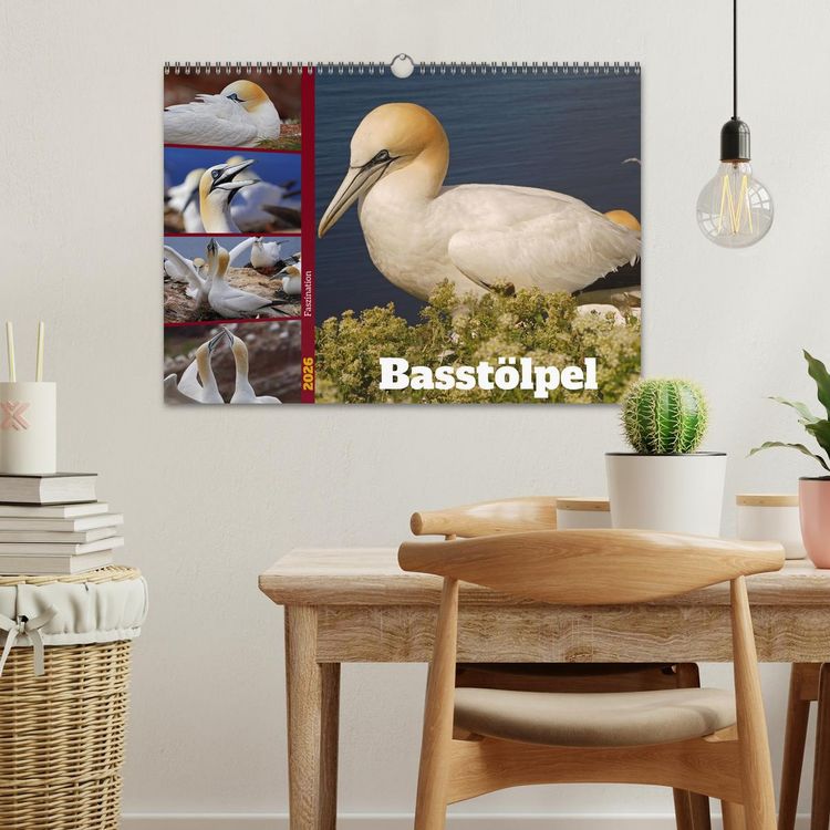 Produktbild: Faszination Basst&ouml;lpel (Wandkalender 2026 DIN A3 quer), CALVENDO Monatskalender
