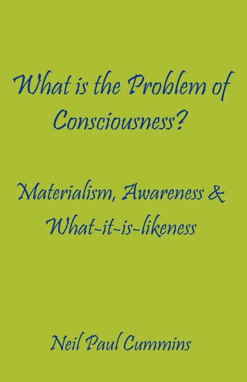 Produktbild: What is the Problem of Consciousness?
