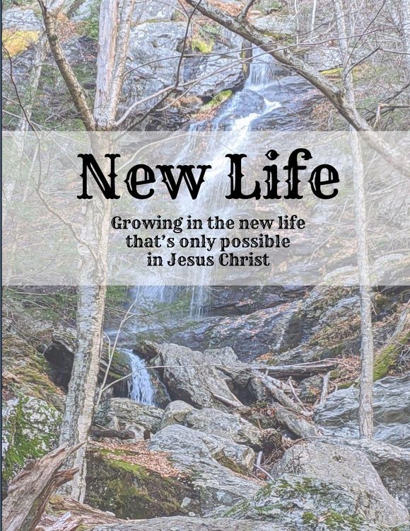 Produktbild: New Life