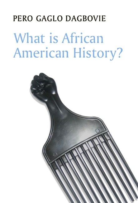 Produktbild: What is African American History?